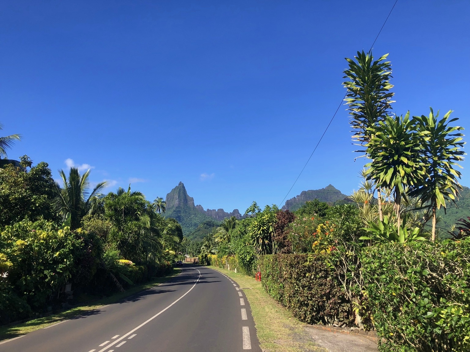 Moorea road